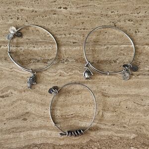Silver Charm Bracelets Set